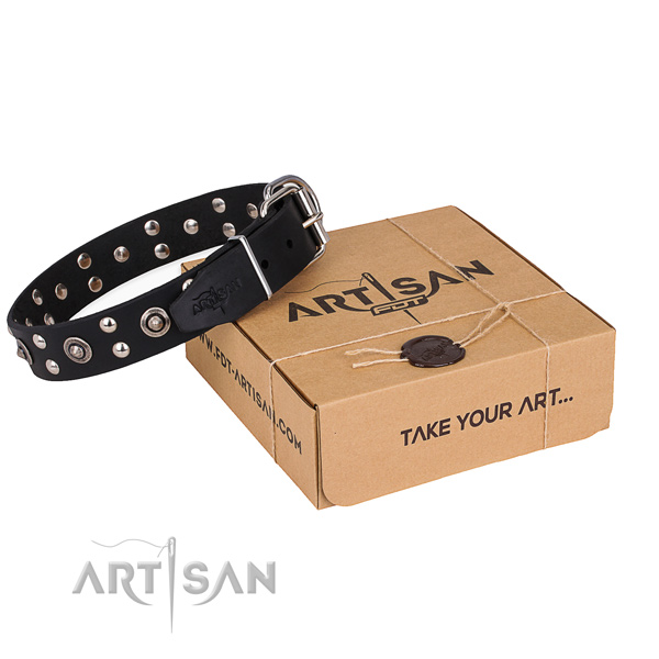 Daily walking dog collar with Unique rust resistant decorations