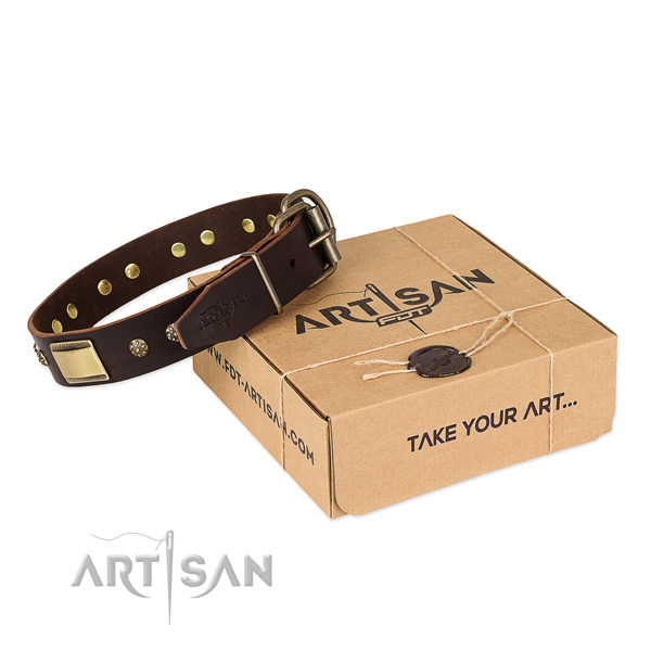 Easy adjustable genuine leather collar for your attractive dog