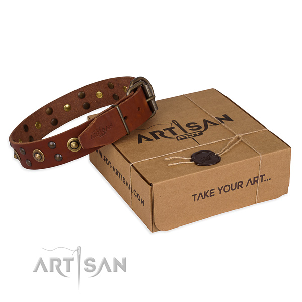 Corrosion proof fittings on full grain natural leather collar for your handsome dog