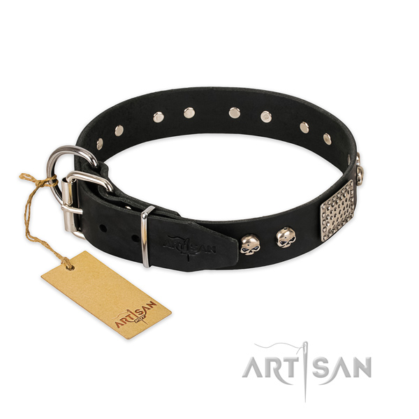 Durable studs on walking dog collar