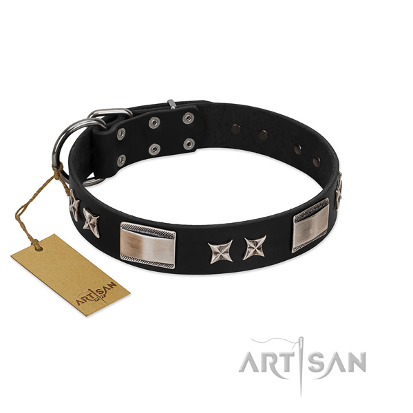 Handcrafted dog collar of full grain natural leather