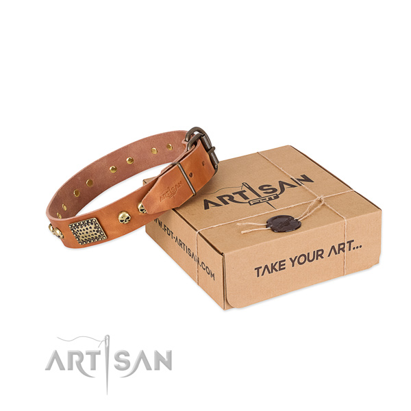 Rust-proof hardware on dog collar for handy use