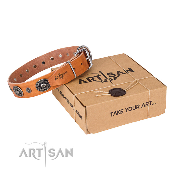 Durable genuine leather dog collar made for everyday walking