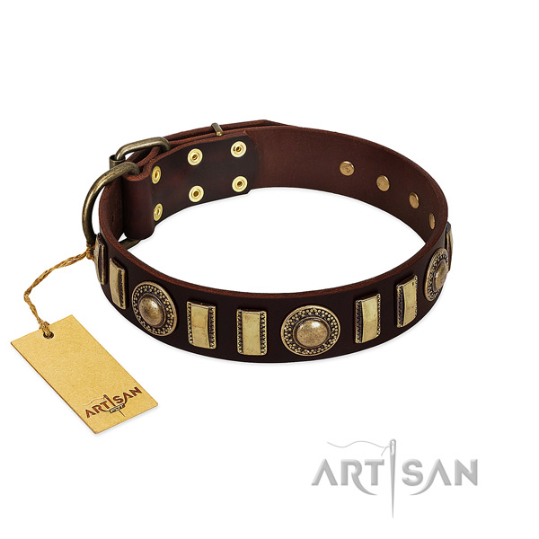 Durable full grain natural leather dog collar with reliable D-ring