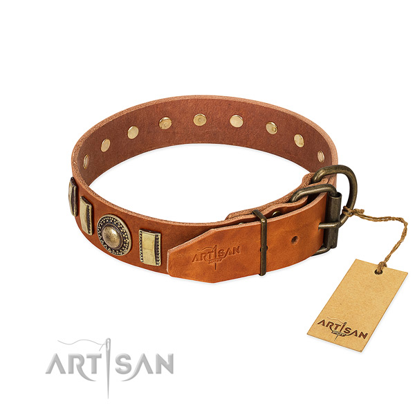 Embellished genuine leather dog collar with reliable traditional buckle