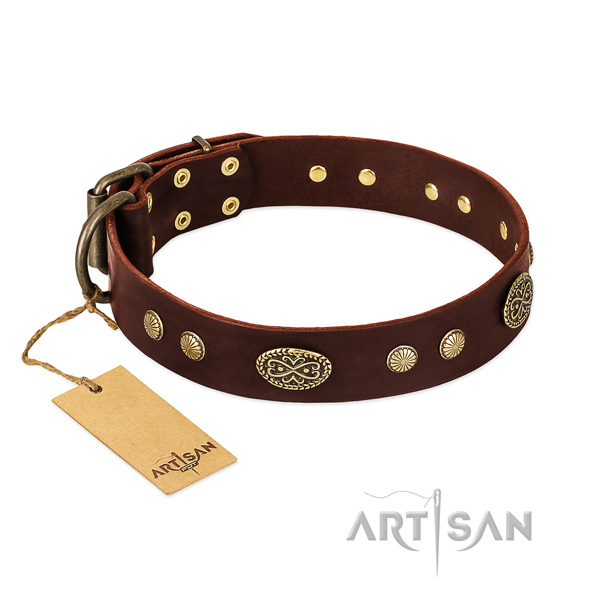 Corrosion proof traditional buckle on full grain genuine leather dog collar for your pet