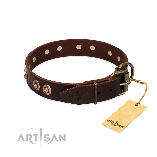 Reliable embellishments on full grain leather dog collar for your doggie