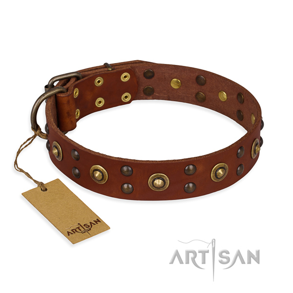 Significant full grain natural leather dog collar with corrosion proof fittings