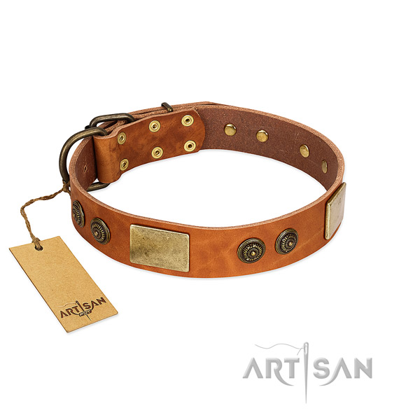 Stylish design leather dog collar for walking