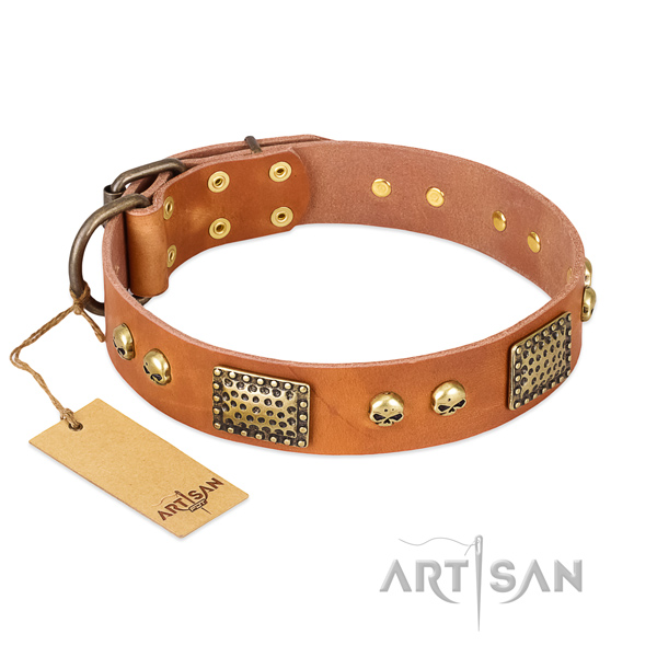 Adjustable full grain leather dog collar for everyday walking your pet
