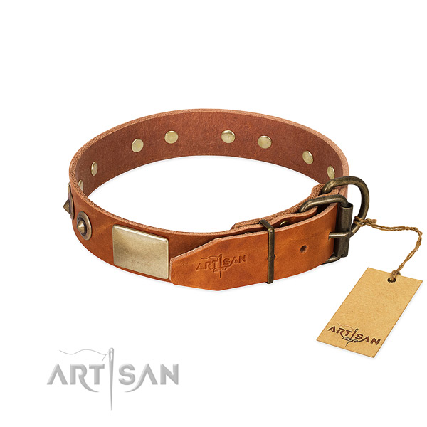 Durable adornments on everyday use dog collar