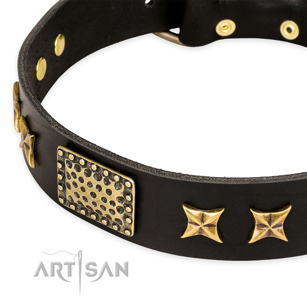 Full grain leather collar with rust resistant hardware for your attractive canine