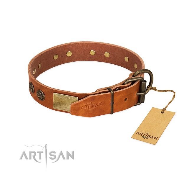 Reliable D-ring on full grain genuine leather collar for stylish walking your pet