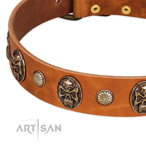 Corrosion proof embellishments on full grain natural leather dog collar for your dog