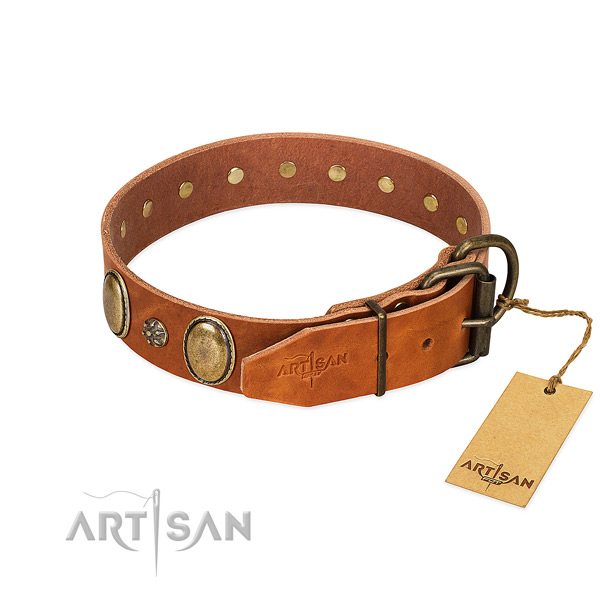 Fancy walking top rate full grain natural leather dog collar