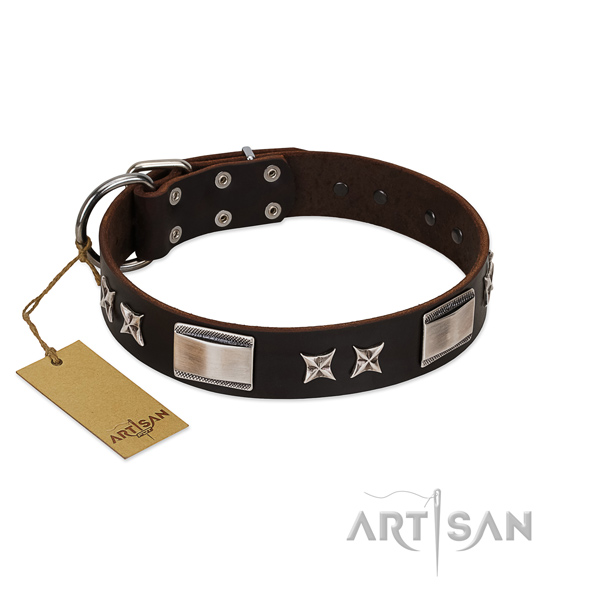 Exquisite dog collar of full grain genuine leather