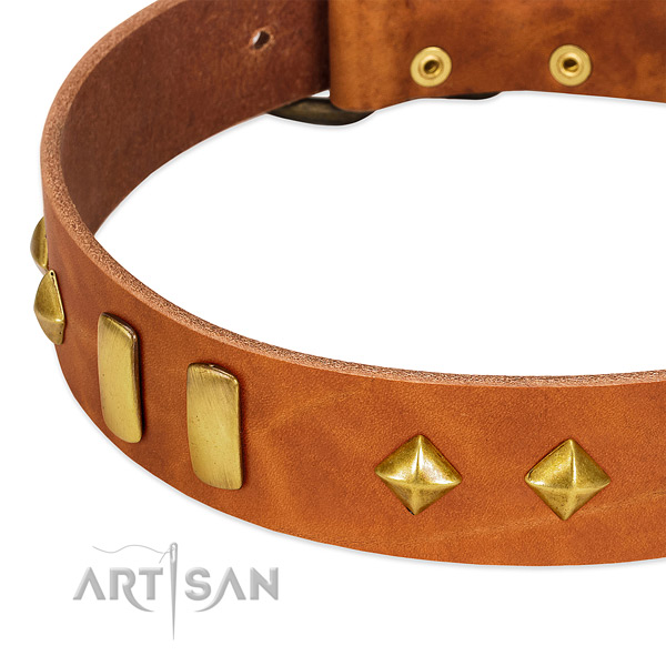 Everyday walking genuine leather dog collar with designer decorations