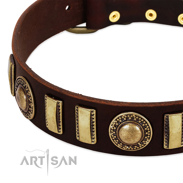 Best quality natural leather dog collar with reliable hardware