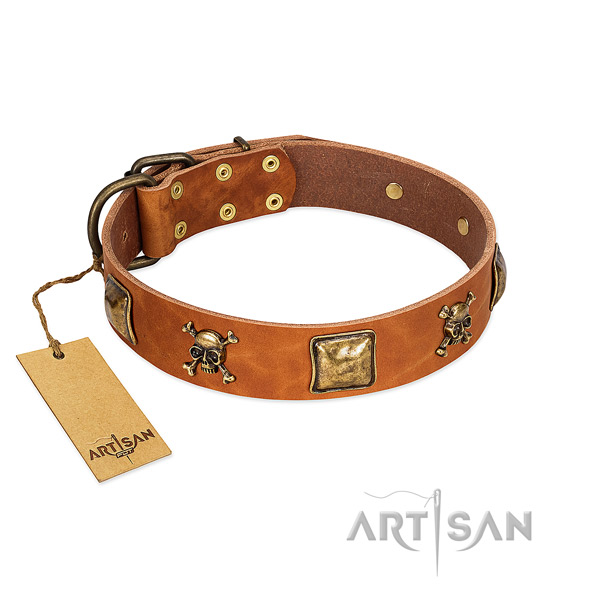 Stylish leather dog collar with rust-proof adornments