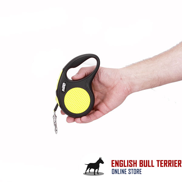 Convenient Handle on Everyday Dog Retractable Leash