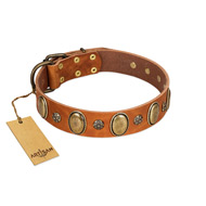 "Total Grace" FDT Artisan Brown Leather Dog Collar with Eye-catchy Ovals and Small Studs  "Total Grace" FDT Artisan Brown Leather Dog Collar with Eye-catchy Ovals and Small Studs