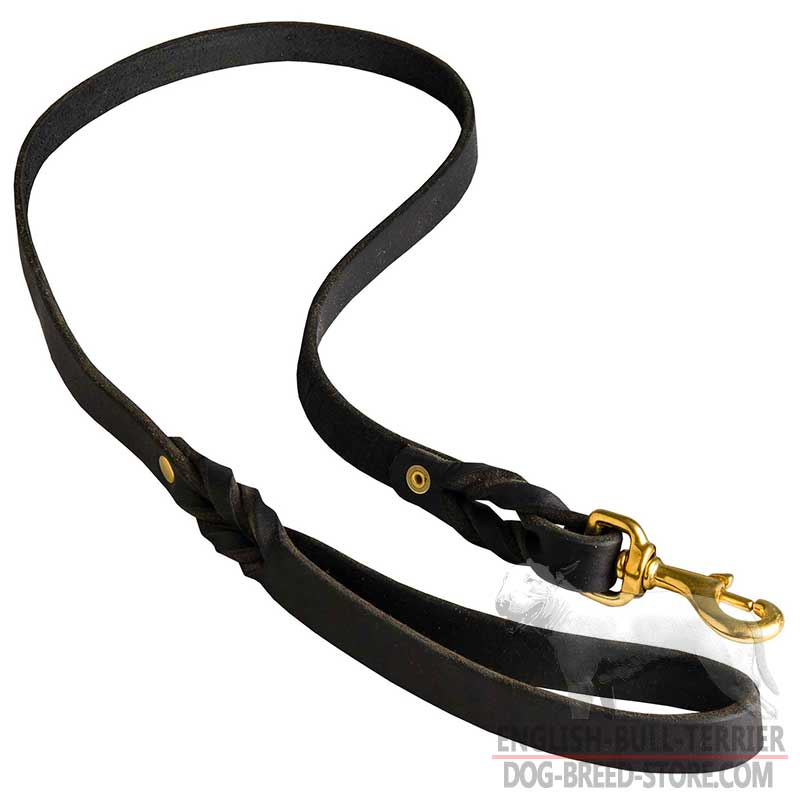 English 2024 training leash