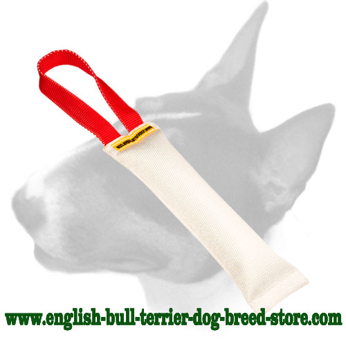 Fire Hose Bull Terrier Bite Tug With Handle TE52 1090 Fire Hose Bite Tug 6x30cm 1 handle Bull Terrier Harnesses Bull Terrier Muzzle Bull Terrier Collars Bull Terrier Leads Dog Leashes Prong collars