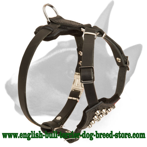 4-Strap Studded Leather Harness