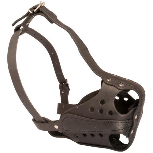 Police Leather Bull Terrier Muzzle for Working Dogs [M56##1090 Leather ...